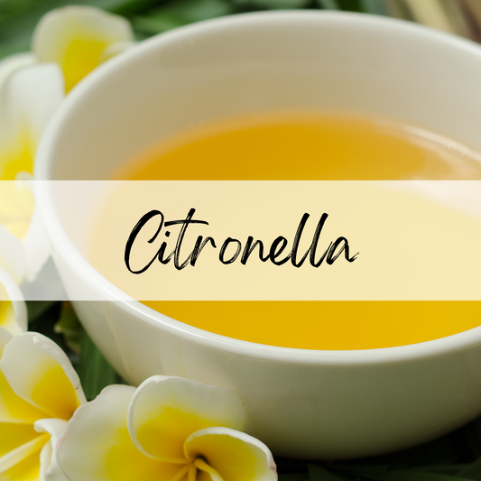 Citronella Soy Candle | 100% Soy Wax, Hand-Poured, Eco-Friendly