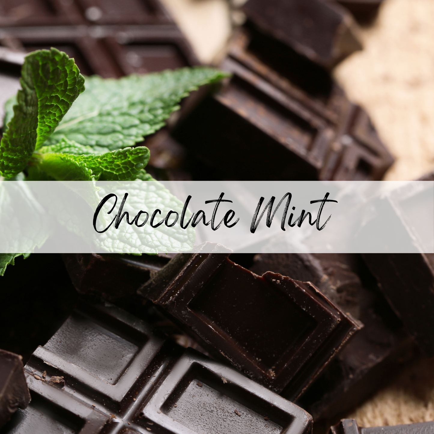 Chocolate Mint Nourishing Lip Balm (4-pk)