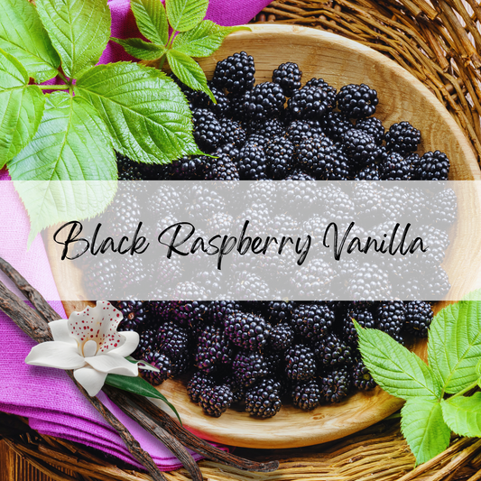 Black Raspberry Vanilla Soy Candle | 100% Soy Wax, Hand-Poured, Eco-Friendly