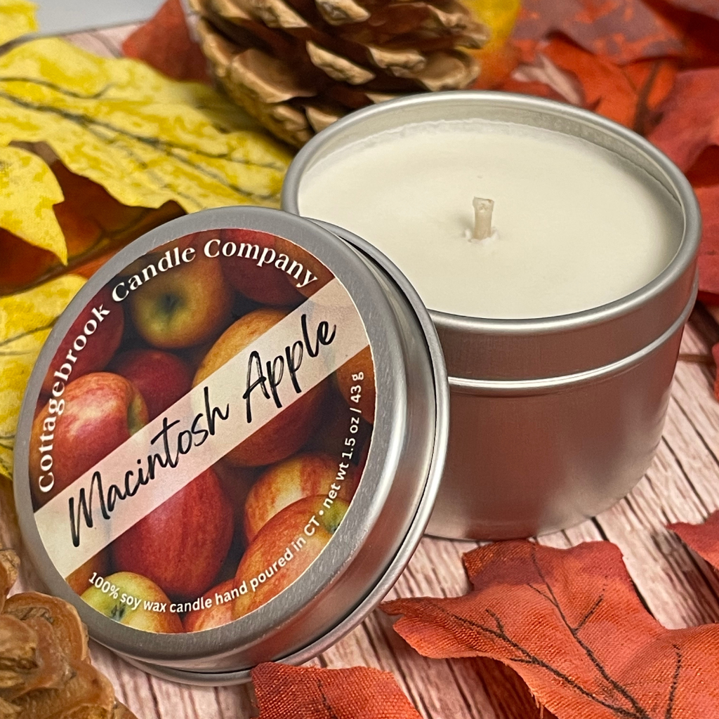 Fall Sampler 6-pack