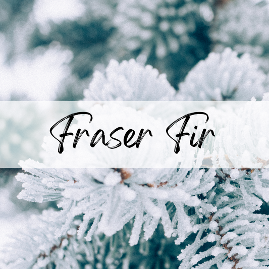 Fraser Fir Soy Candle | 100% Soy Wax, Hand-Poured, Eco-Friendly