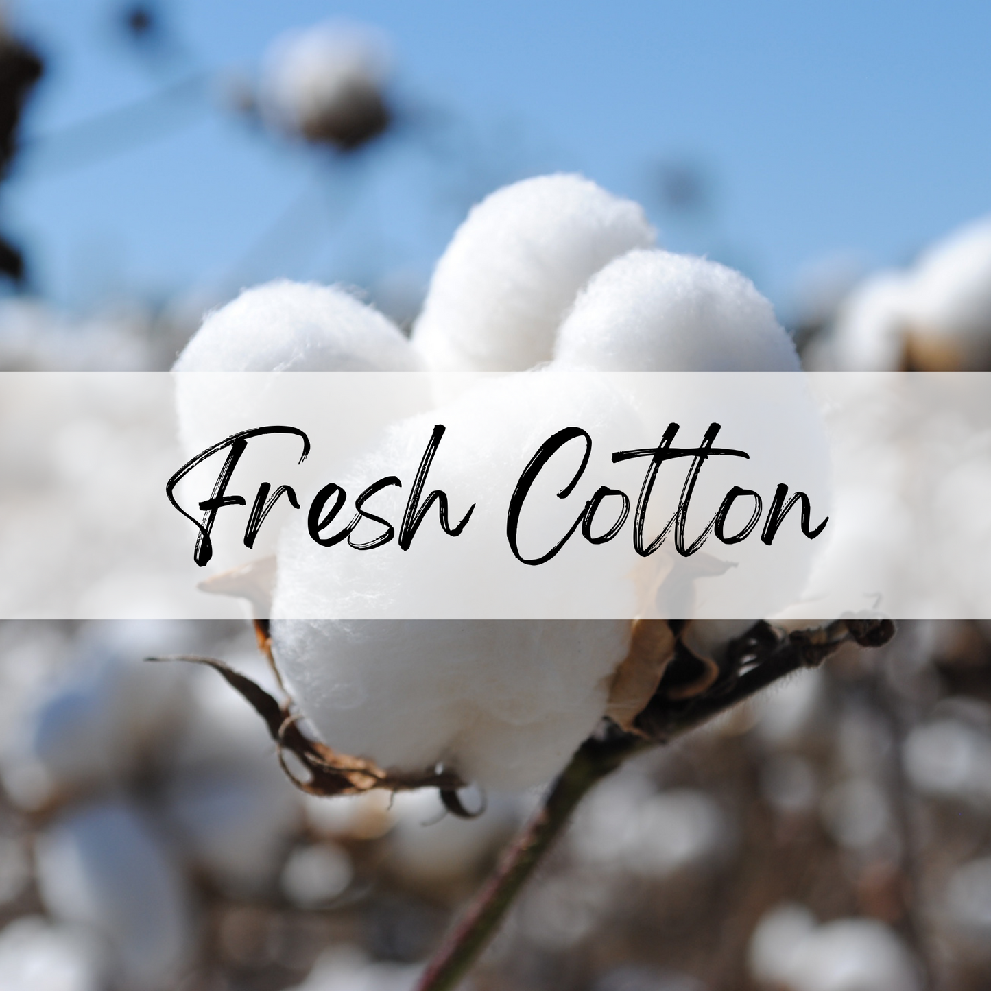 Fresh Cotton Soy Candle | 100% Soy Wax, Hand-Poured, Eco-Friendly