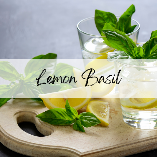 Lemon Basil Soy Candle | 100% Soy Wax, Hand-Poured, Eco-Friendly