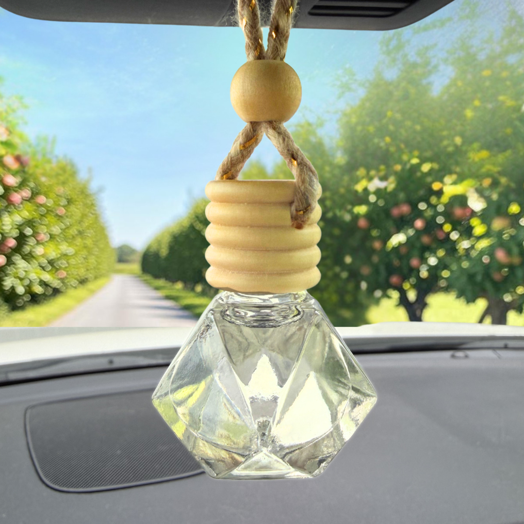 Macintosh Apple Car Diffuser