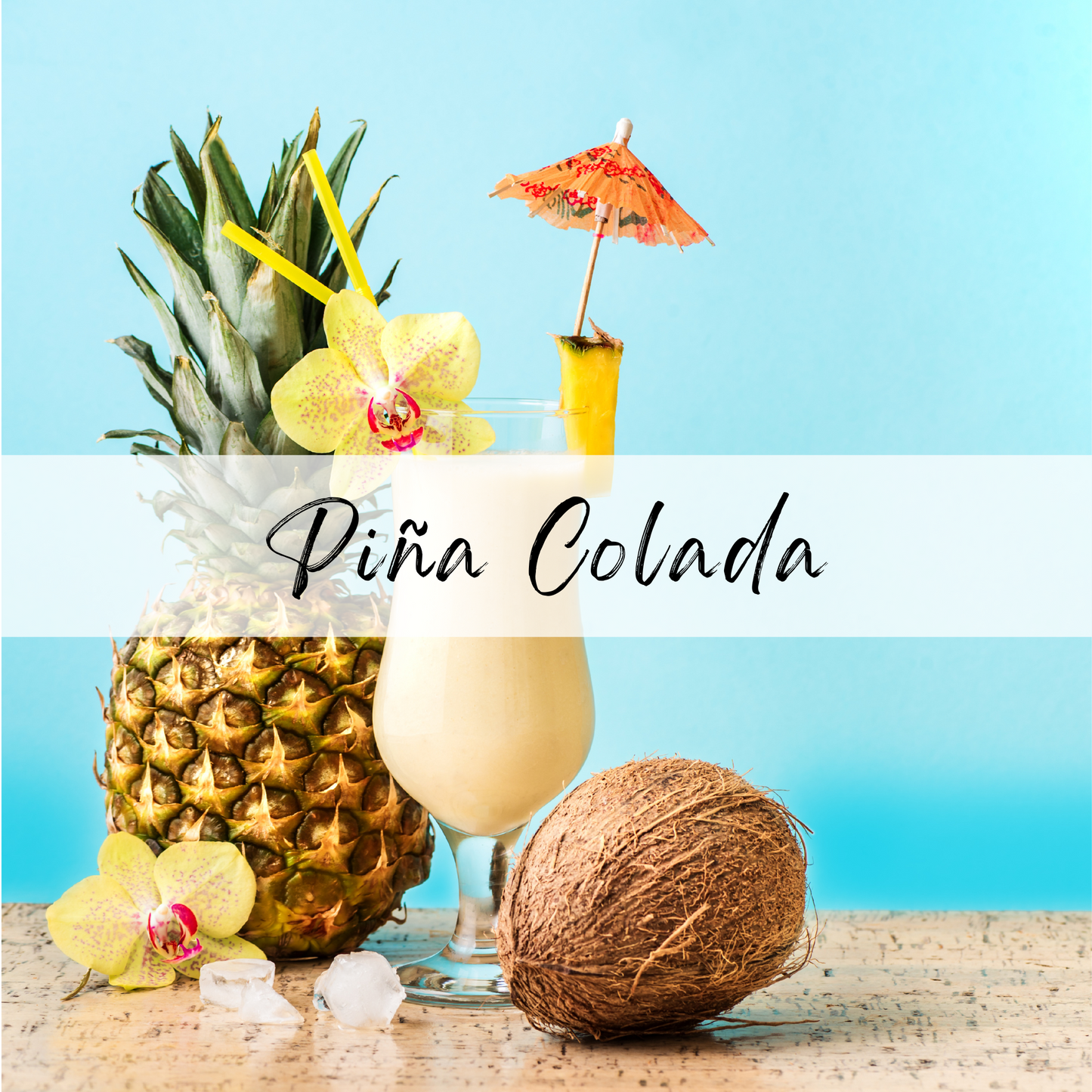 Piña Colada Moisturizing Lip Balm (4-pk)