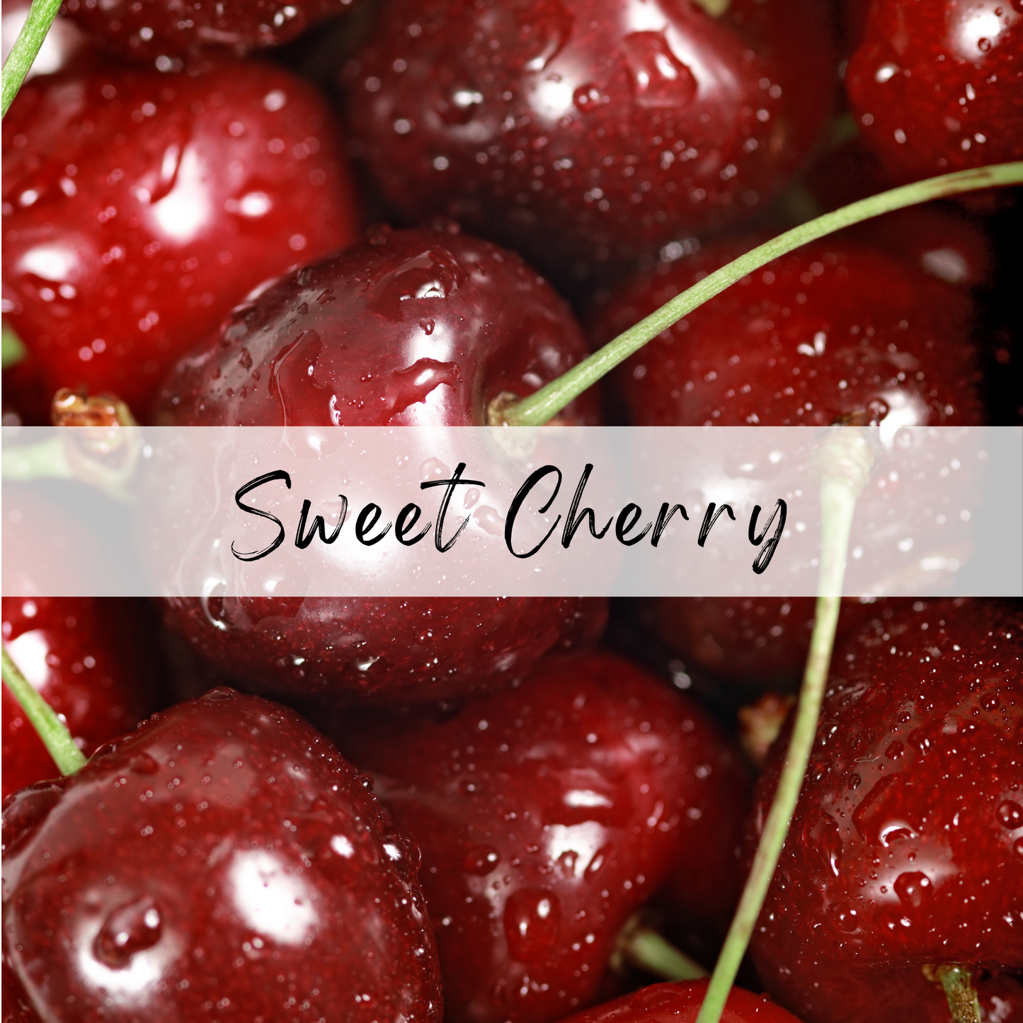 Sweet Cherry Moisturizing Lip Balm (4-pk)