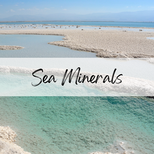 Sea Minerals Soy Candle | 100% Soy Wax, Hand-Poured, Eco-Friendly