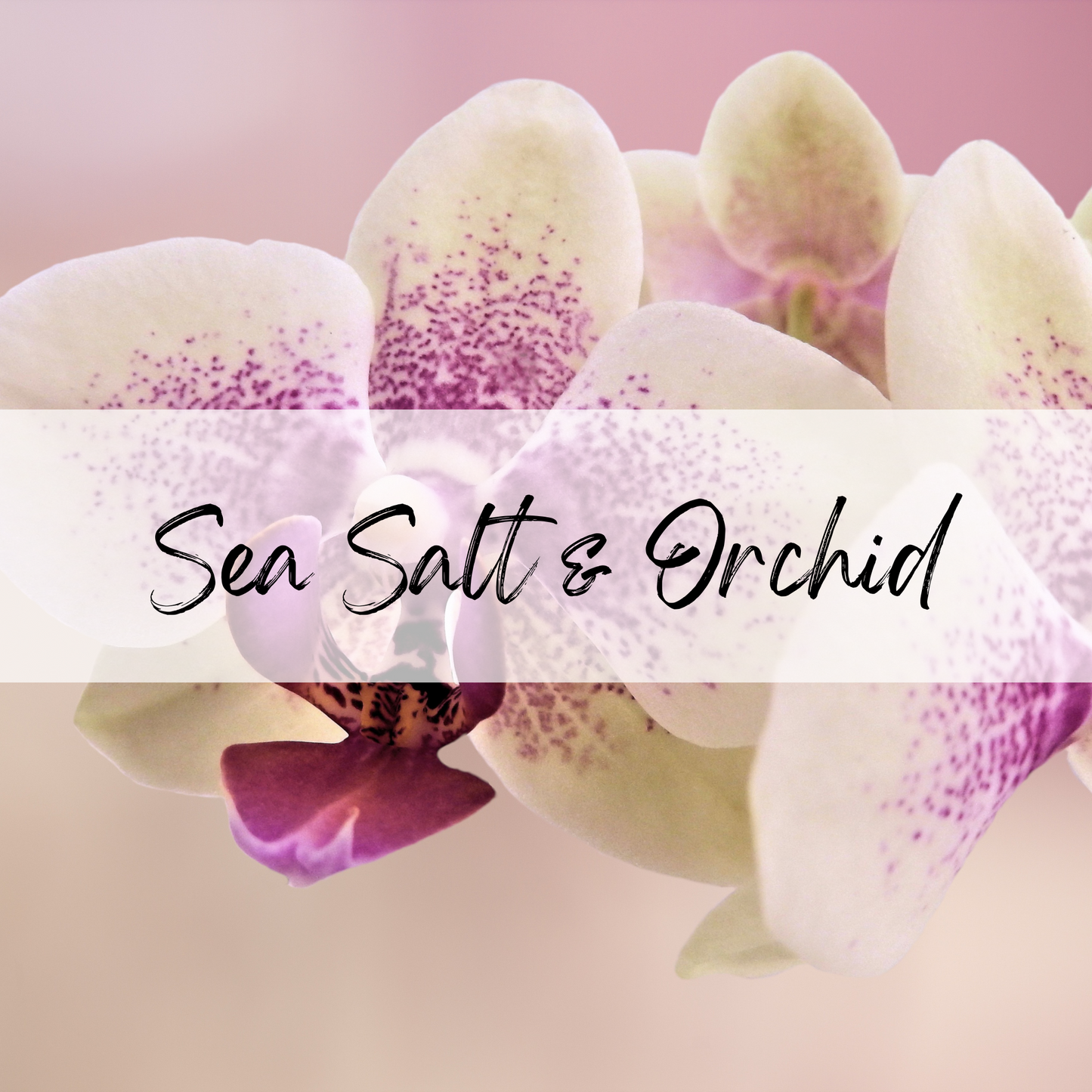 Sea Salt & Orchid Soy Candle | 100% Soy Wax, Hand-Poured, Eco-Friendly