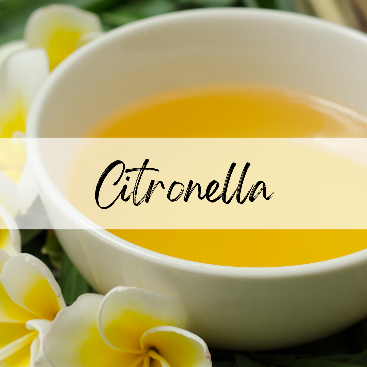 Citronella Soy Candle