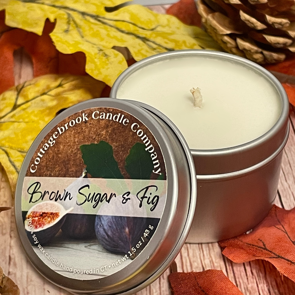 Fall Sampler 6-pack