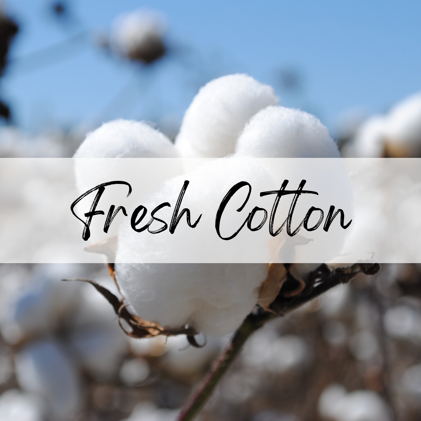 Fresh Cotton Soy Candle