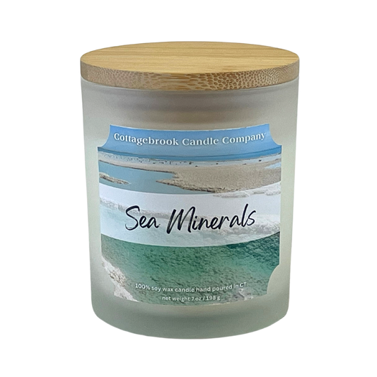 Sea Minerals Soy Candle