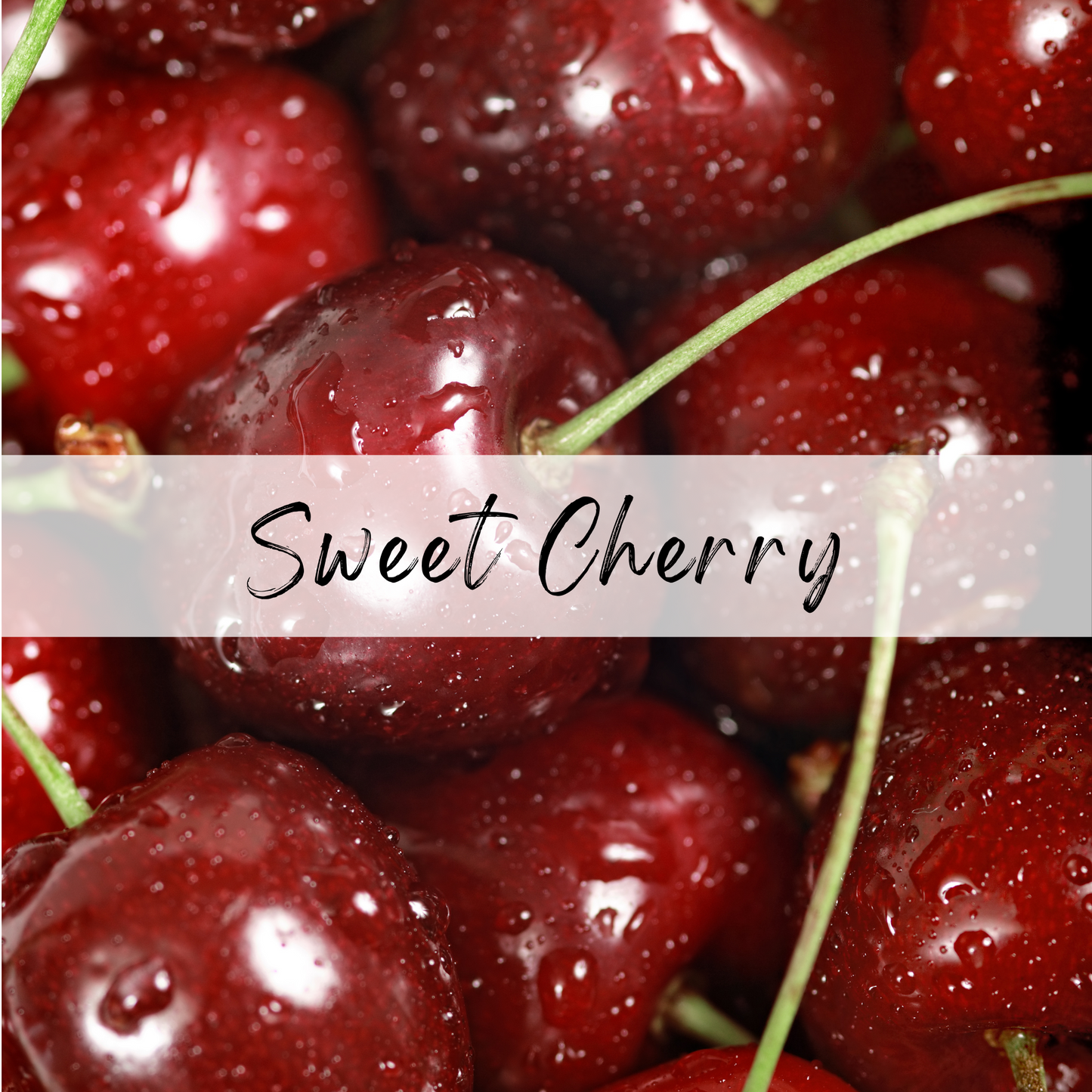 Sweet Cherry Moisturizing Lip Balm (4 pk)