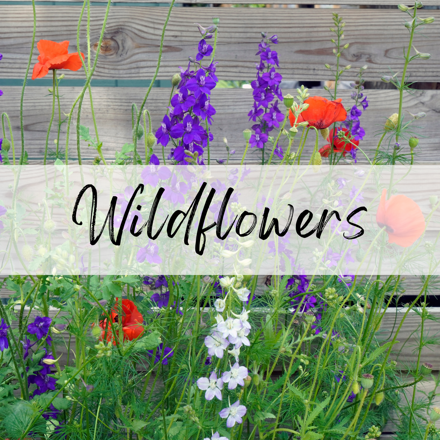 Wildflowers Soy Candle