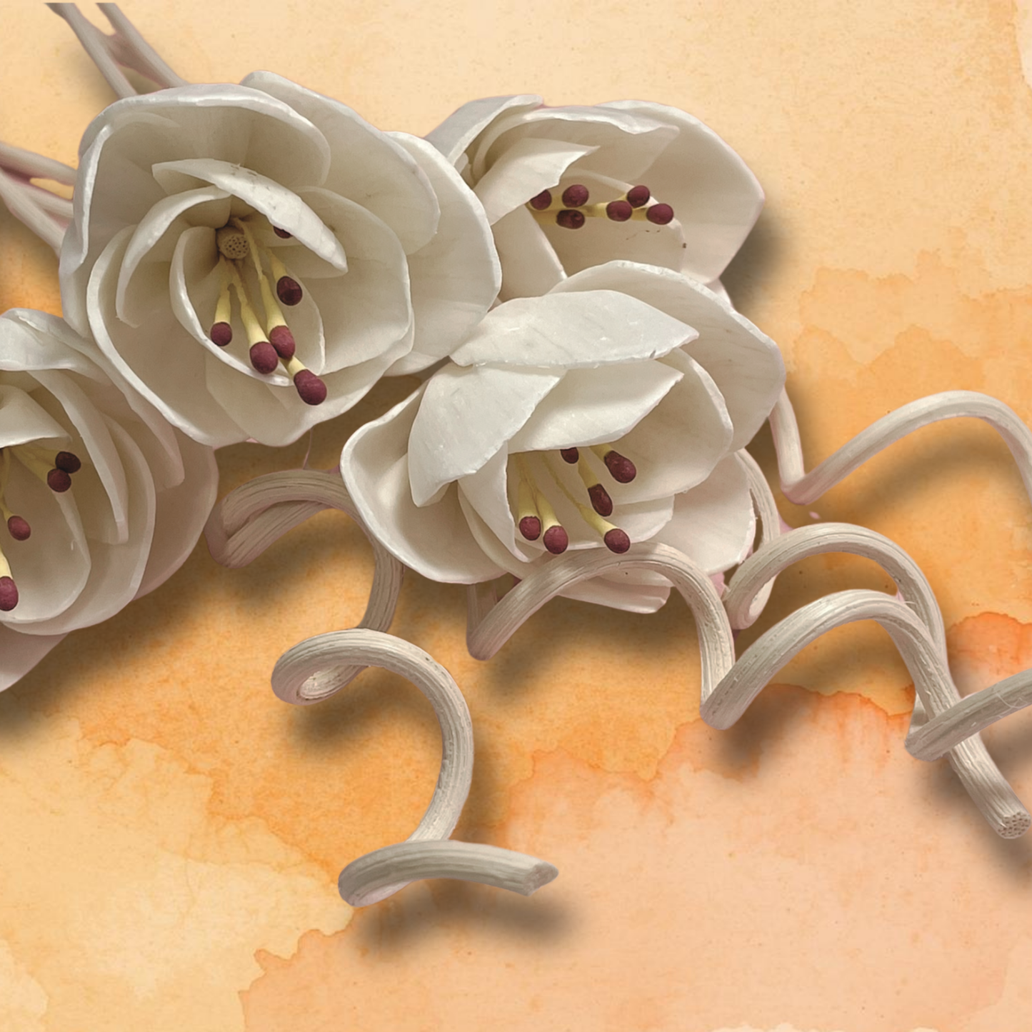 Peach Nectar Reed Diffuser