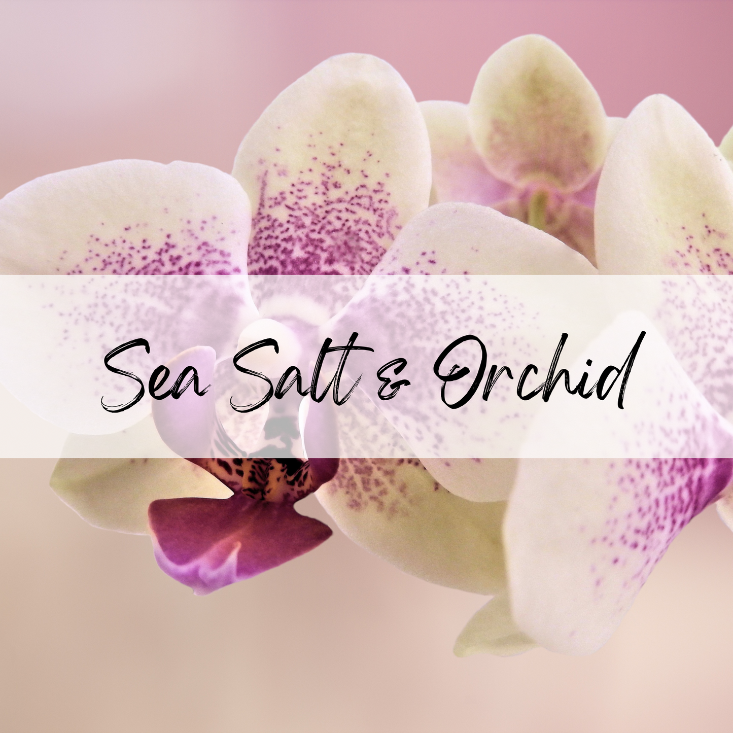 Sea Salt & Orchid Soy Candle